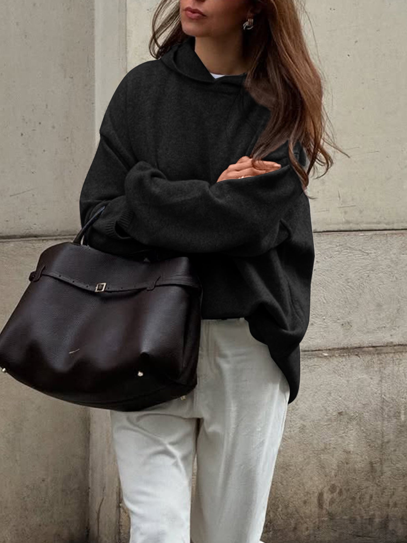 Casual Minimalist Long Sleeve Hooded Sweater Woolen