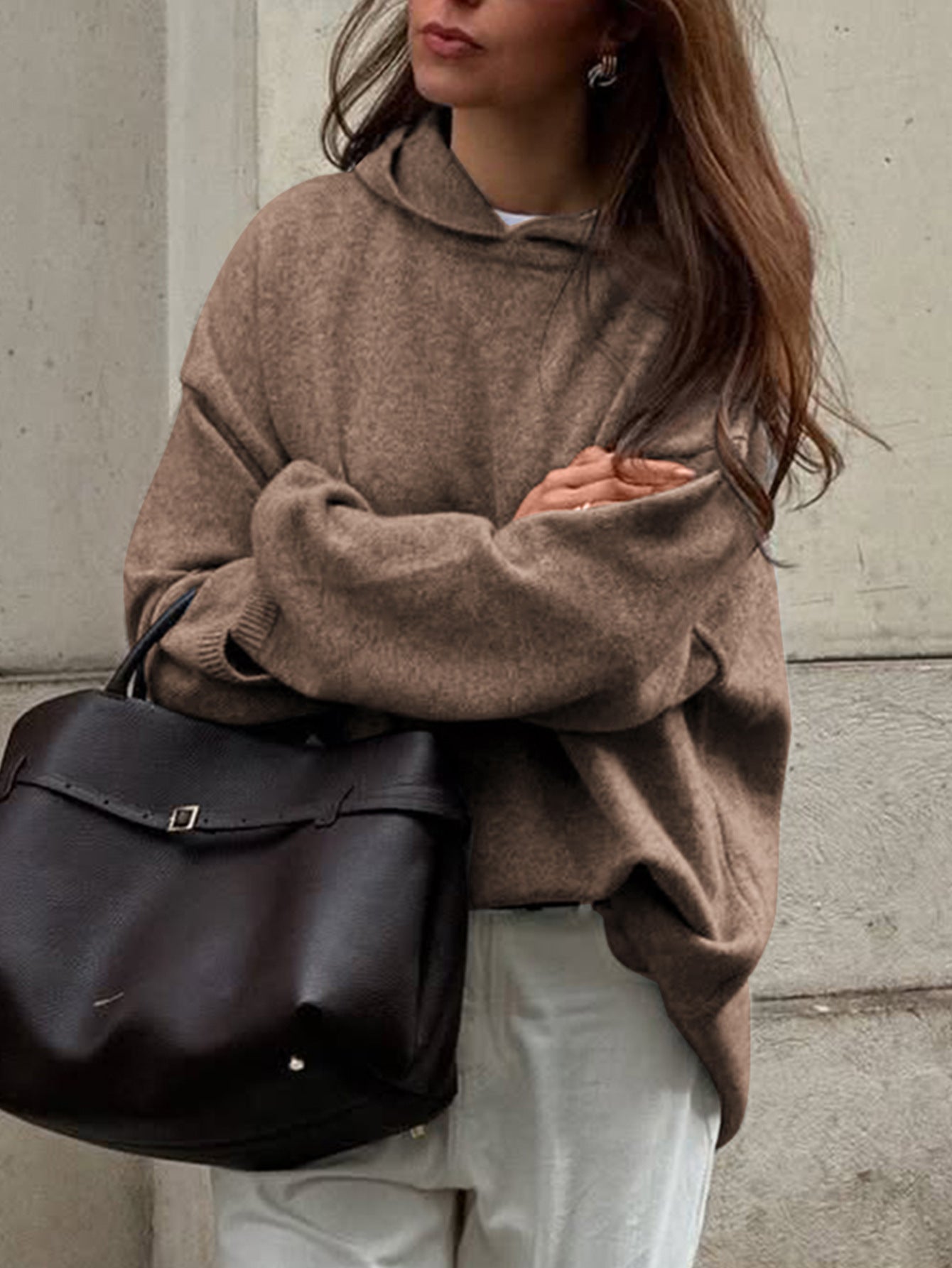 Casual Minimalist Long Sleeve Hooded Sweater Woolen