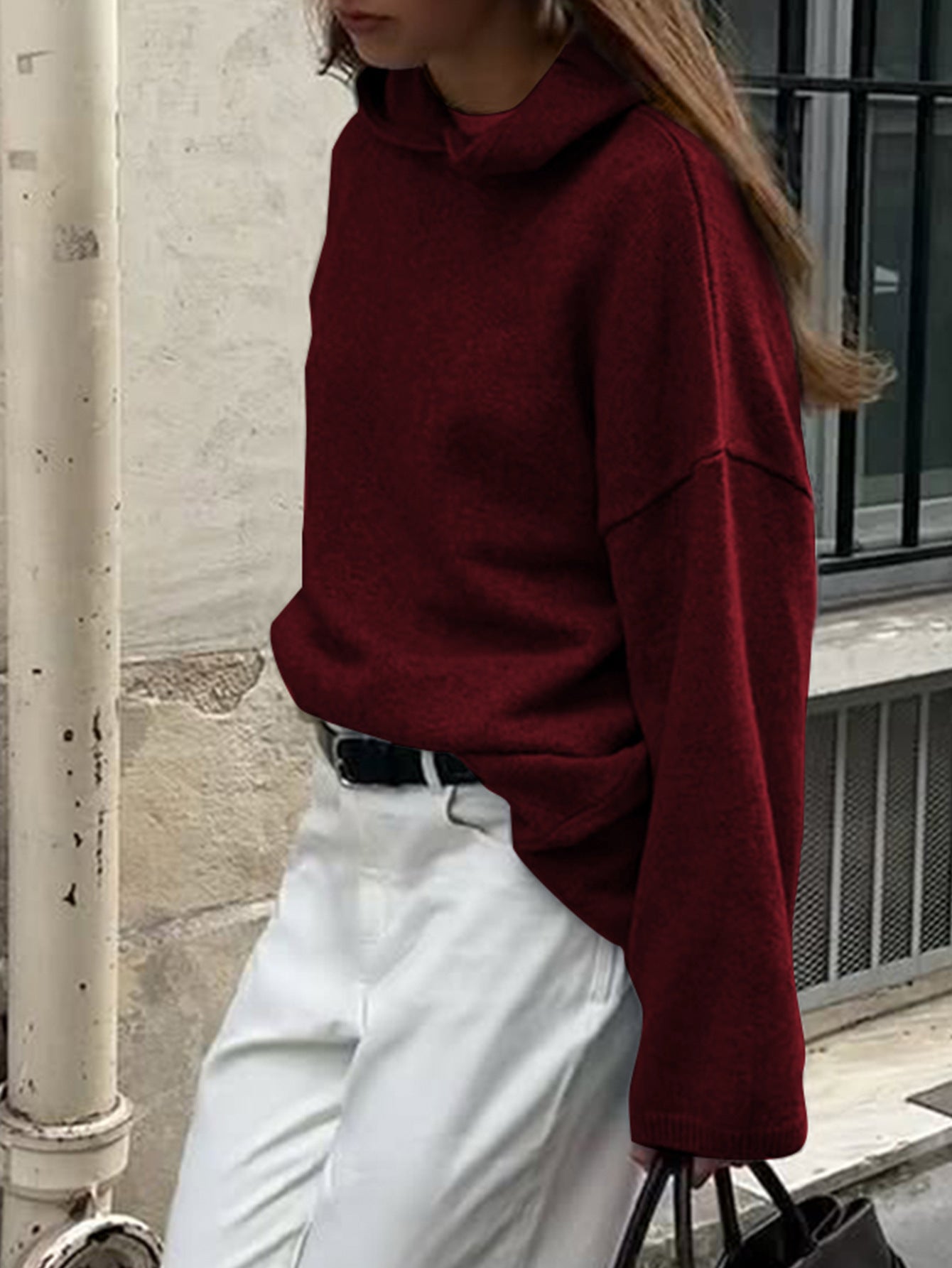Casual Minimalist Long Sleeve Hooded Sweater Woolen